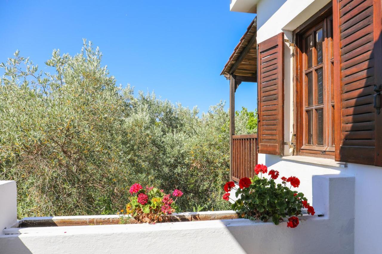 Pandora Studios Skiathos Kolios Exteriör bild