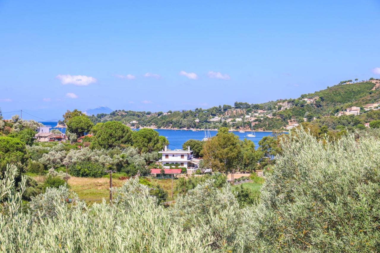 Pandora Studios Skiathos Kolios Exteriör bild