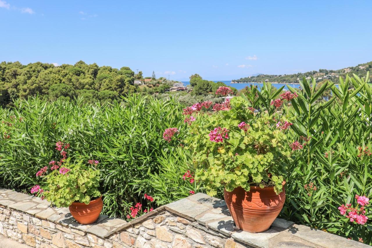 Pandora Studios Skiathos Kolios Exteriör bild